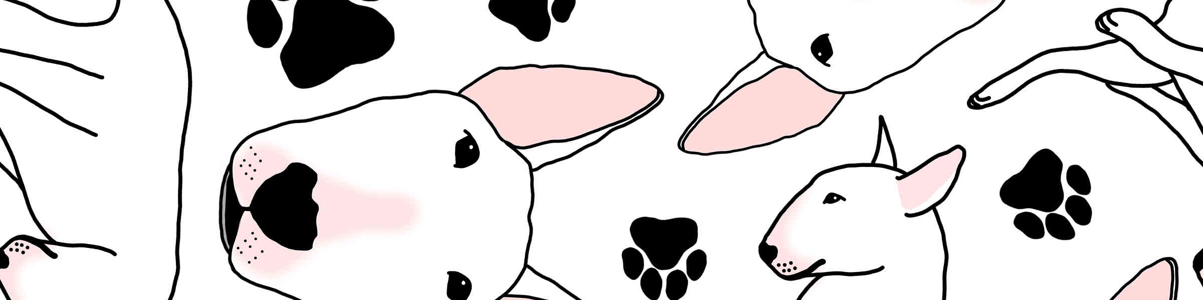 Imagen de portada de la tienda del artista