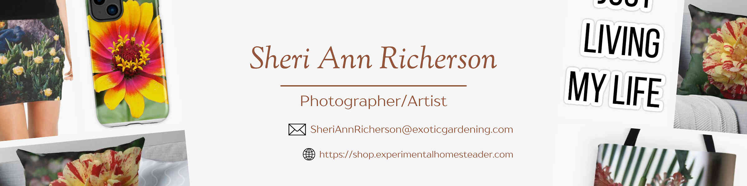 Artist shop banner image