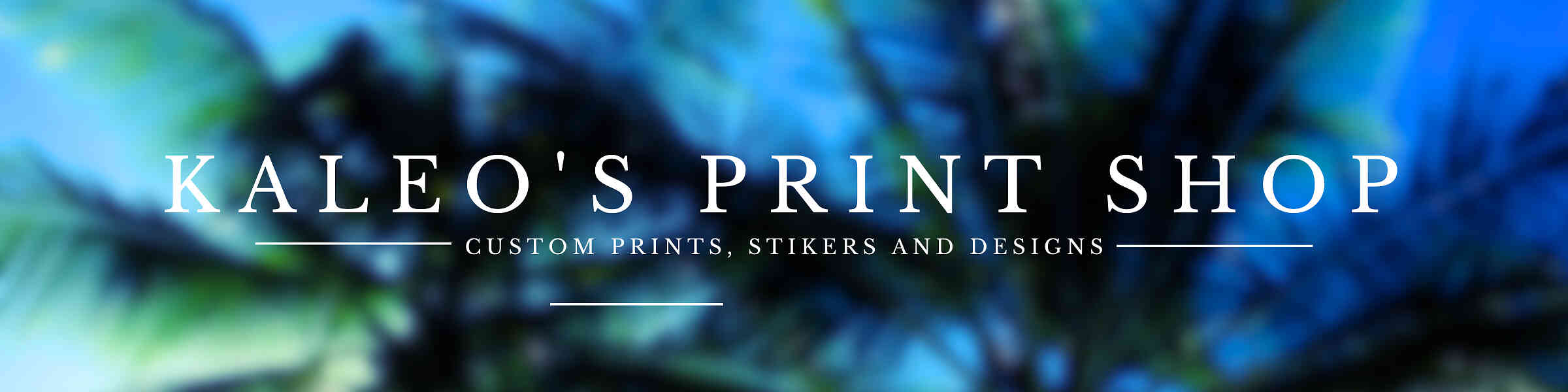Artist shop banner image