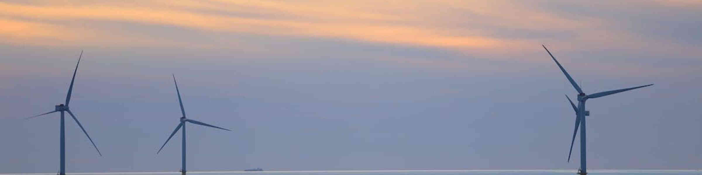 Banner des Künstlershops