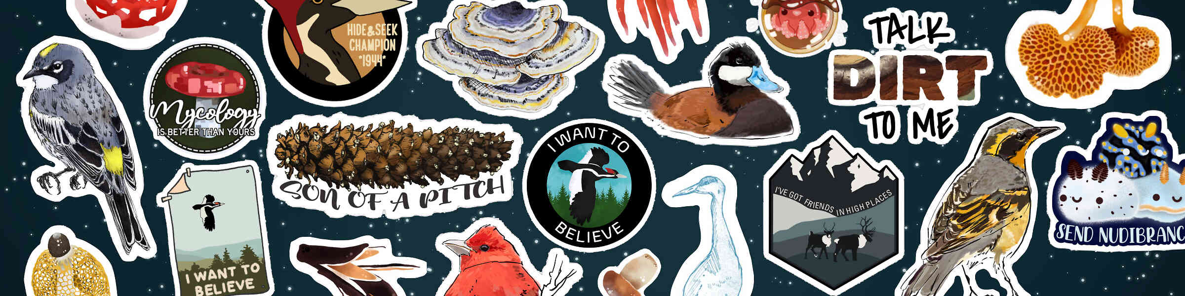 Artist shop banner image