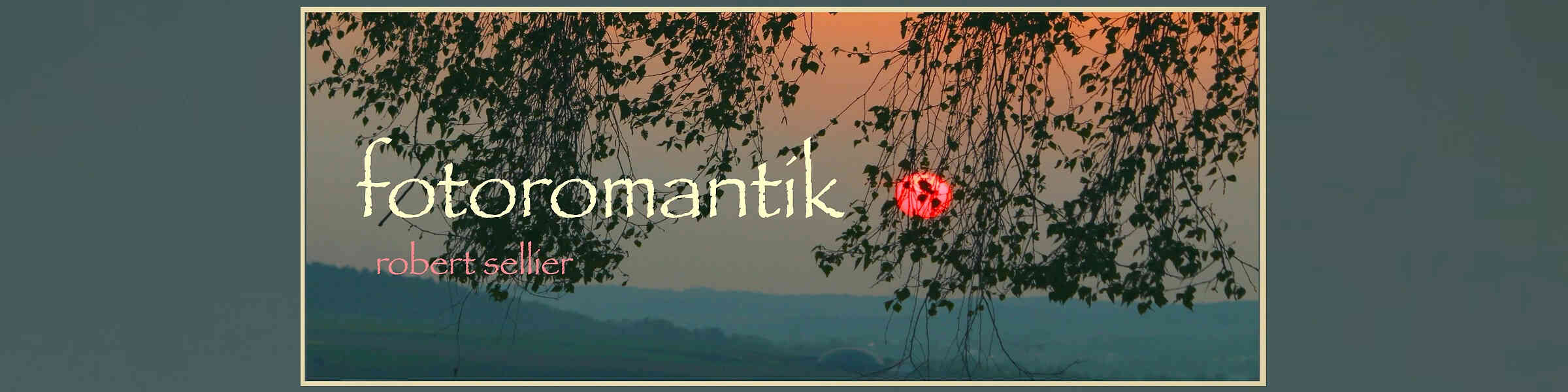 Banner des Künstlershops