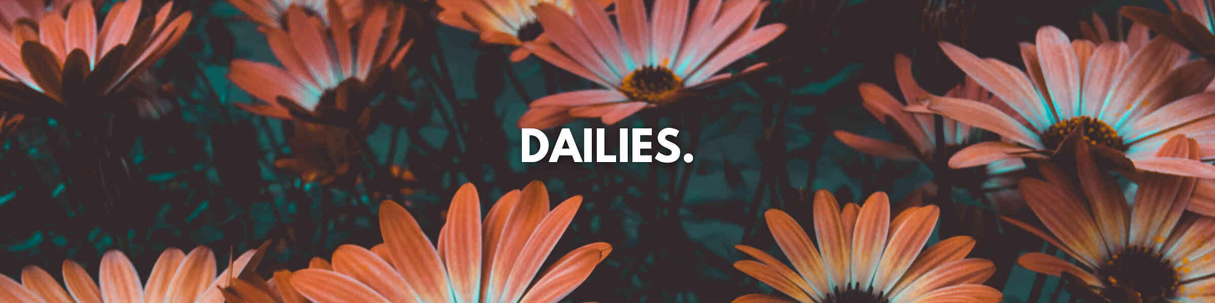 Redbubble banner for @Dailies