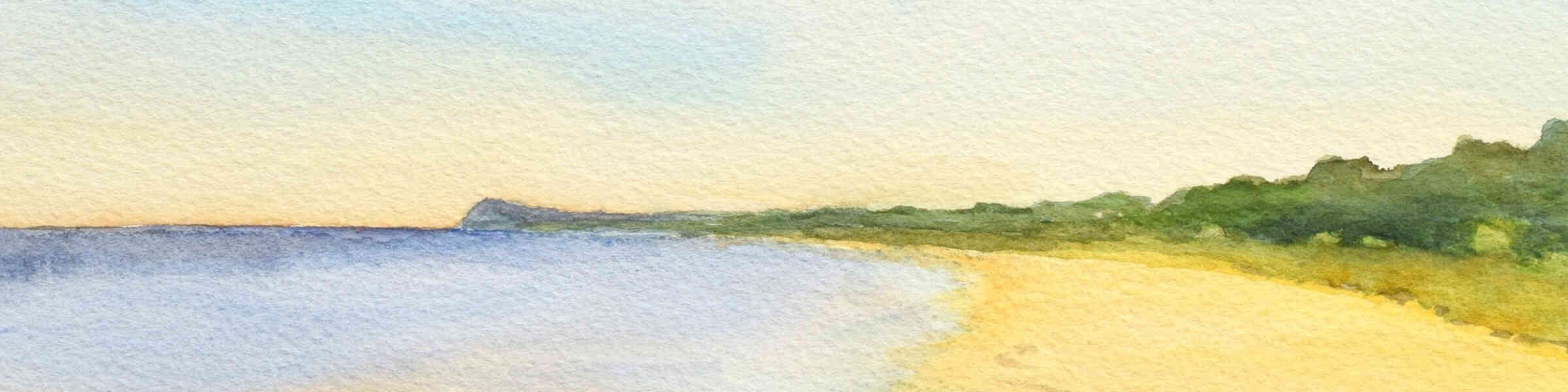 Banner des Künstlershops