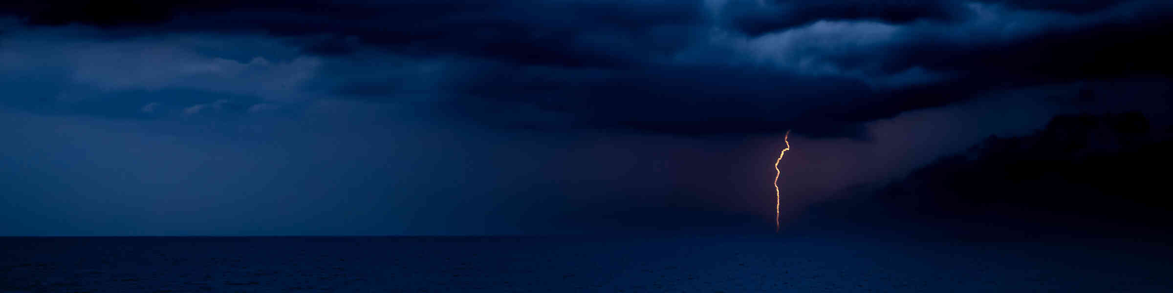 Banner des Künstlershops