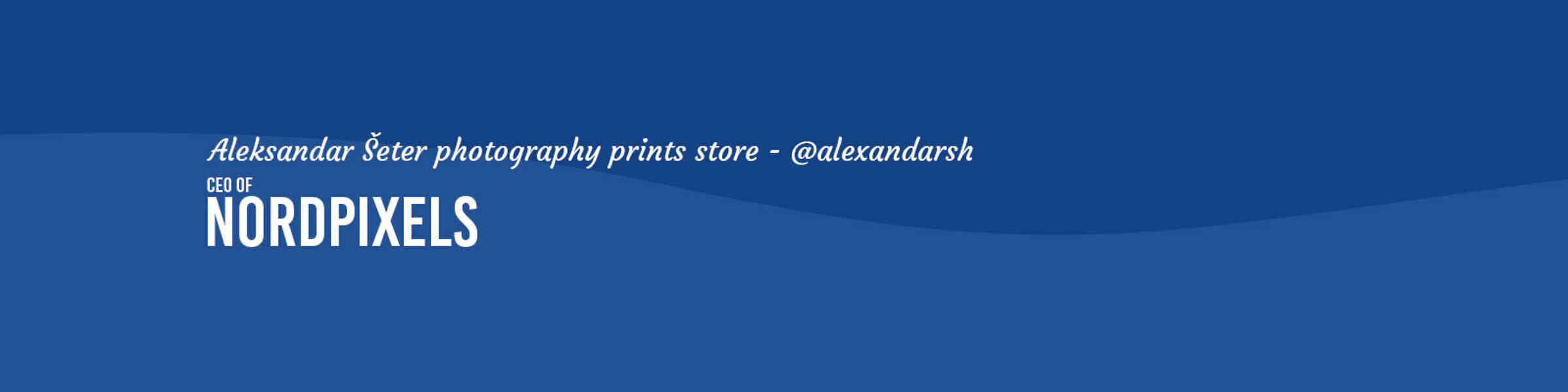 Artist shop banner image