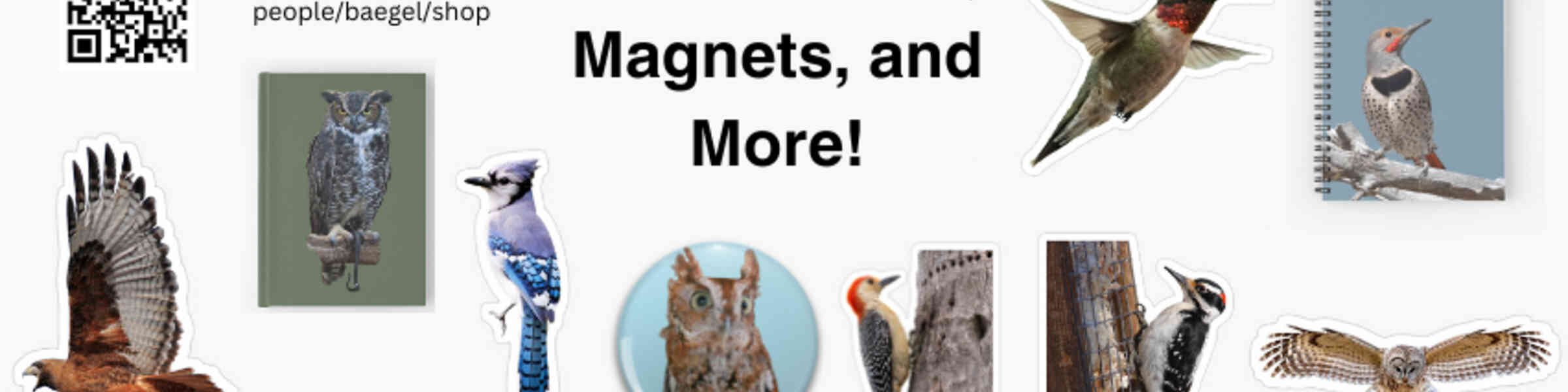 Artist shop banner image
