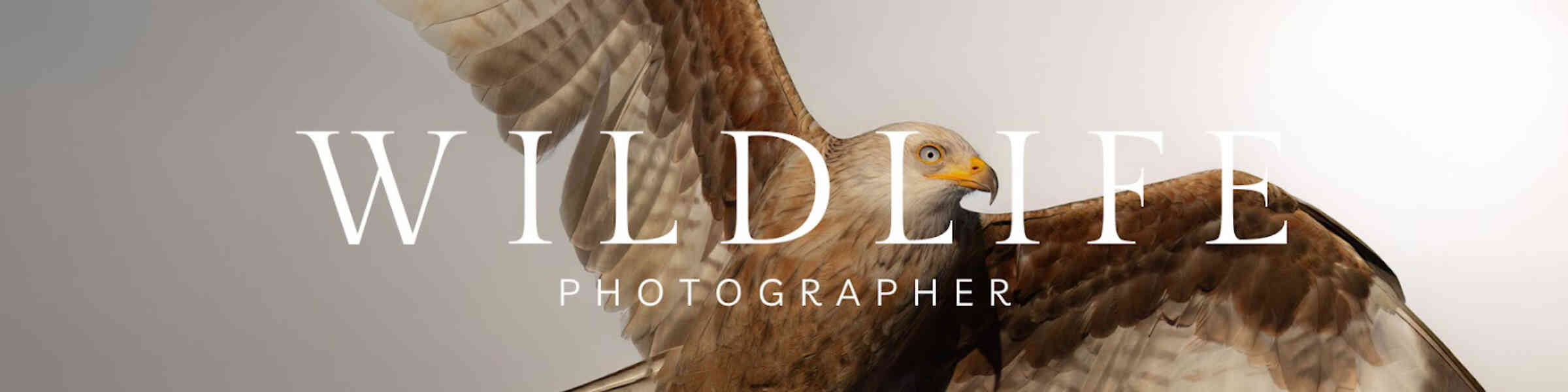 Redbubble banner for @coolpix