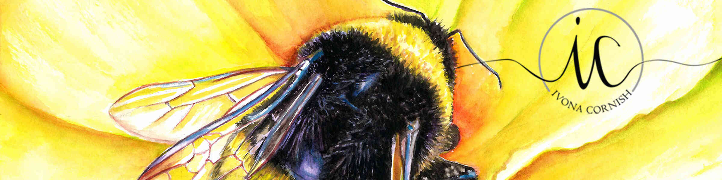 Imagen de portada de la tienda del artista