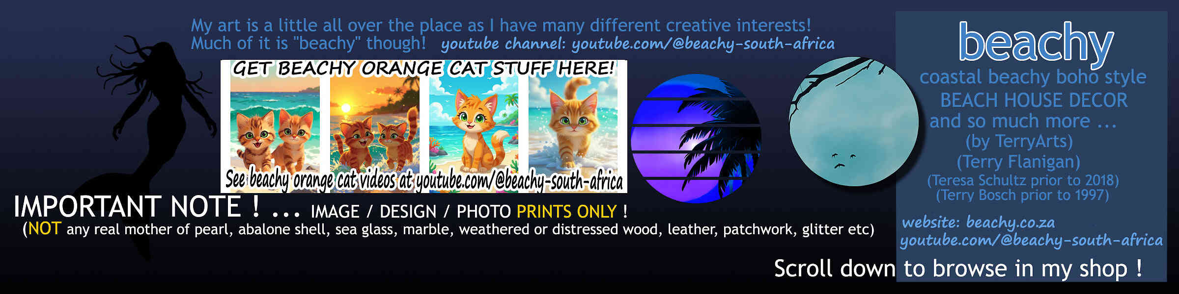 Artist shop banner image
