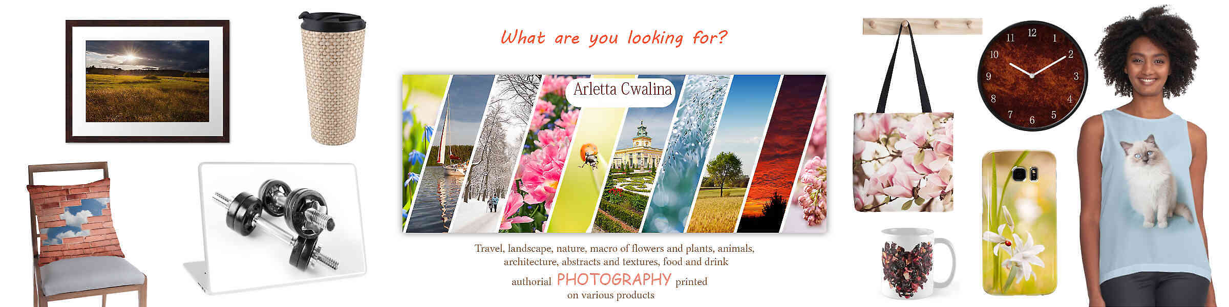 Artist shop banner image