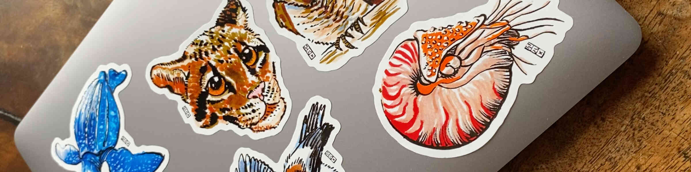 Artist shop banner image