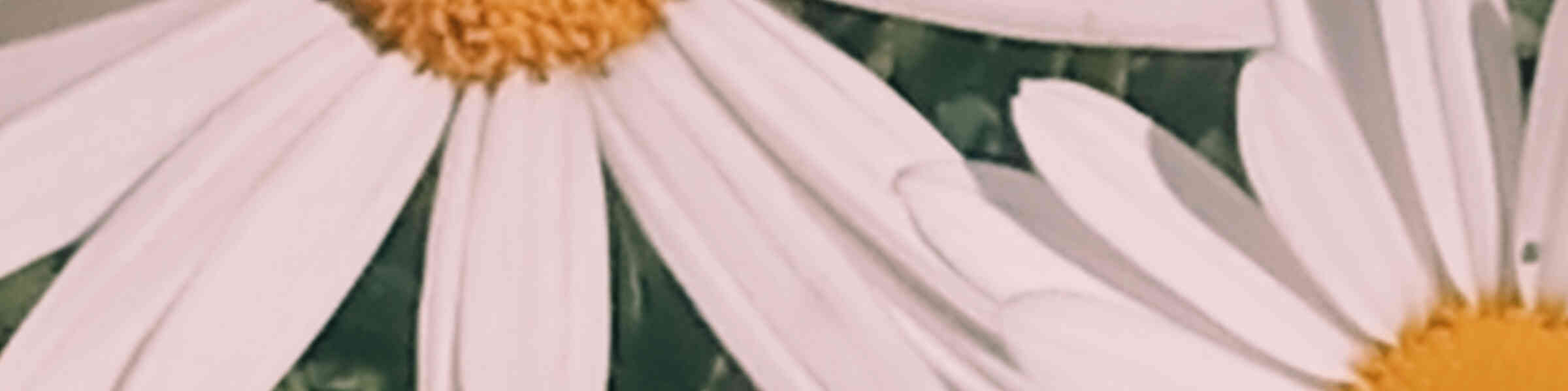 Imagen de portada de la tienda del artista