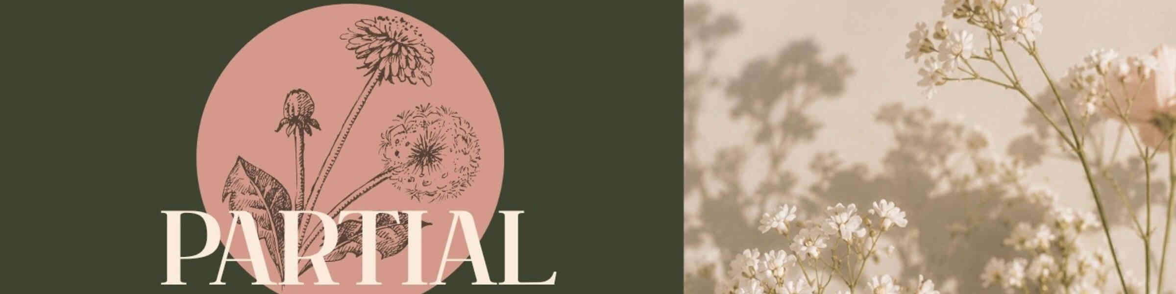 Imagen de portada de la tienda del artista