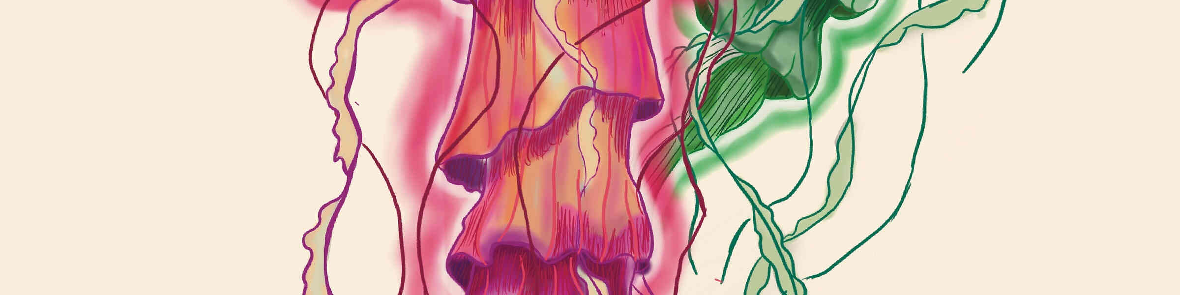 Banner des Künstlershops