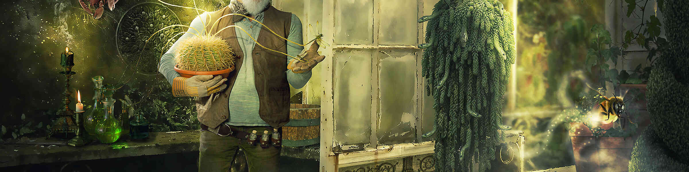 Artist shop banner image