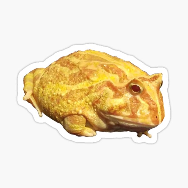 Item preview, Lemon the Pacman frog  designed and sold by LimetheFrog.