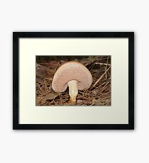 Fungus Framed Print