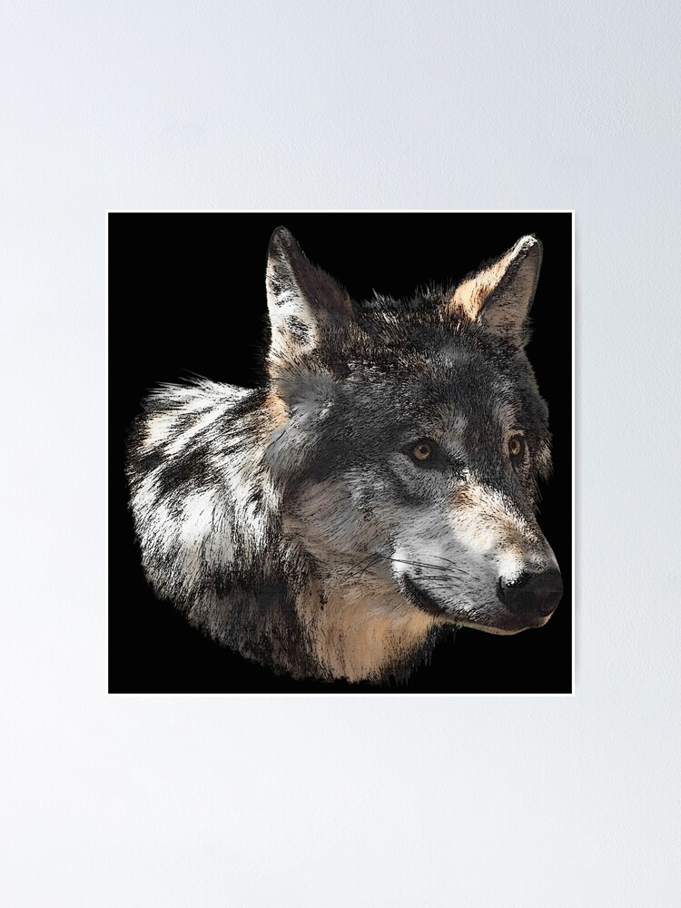 Póster «Impresiones en lienzo con cabeza de lobo, hermosos estampados de  animales, bonitos lobos» de Kirei-Lily | Redbubble