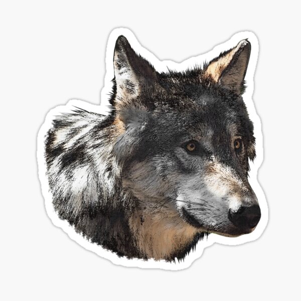 Artikel-Vorschau von Wolfkopf seitlich leinwand muster, wunderschöne Tierdrucke, hübsche Wölfe, designt und verkauft von Kirei-Lily.