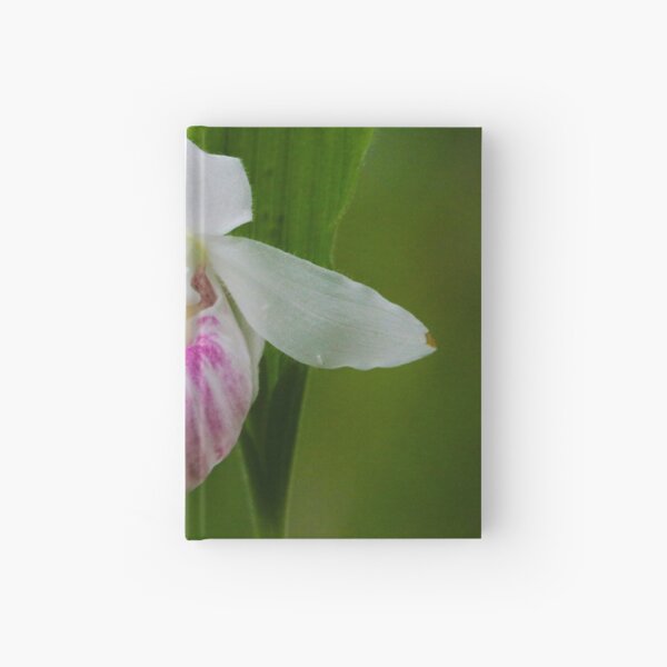 Showy Pink Ladyslipper Orchid Hardcover Journal