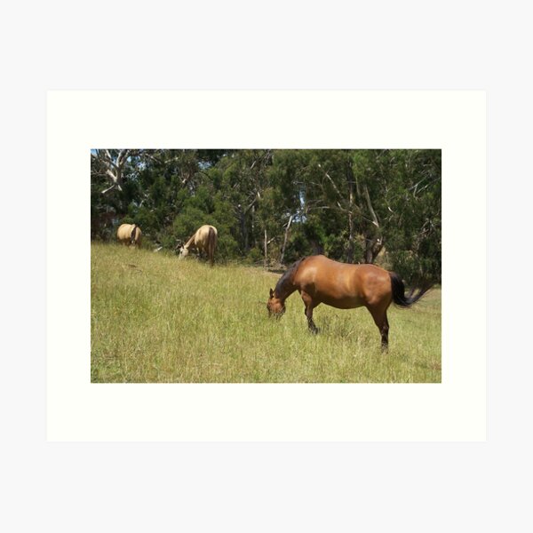 Item preview, Horses in the High country designed and sold by lipbiter.