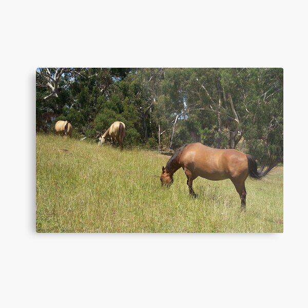 Item preview, Horses in the High country designed and sold by lipbiter.