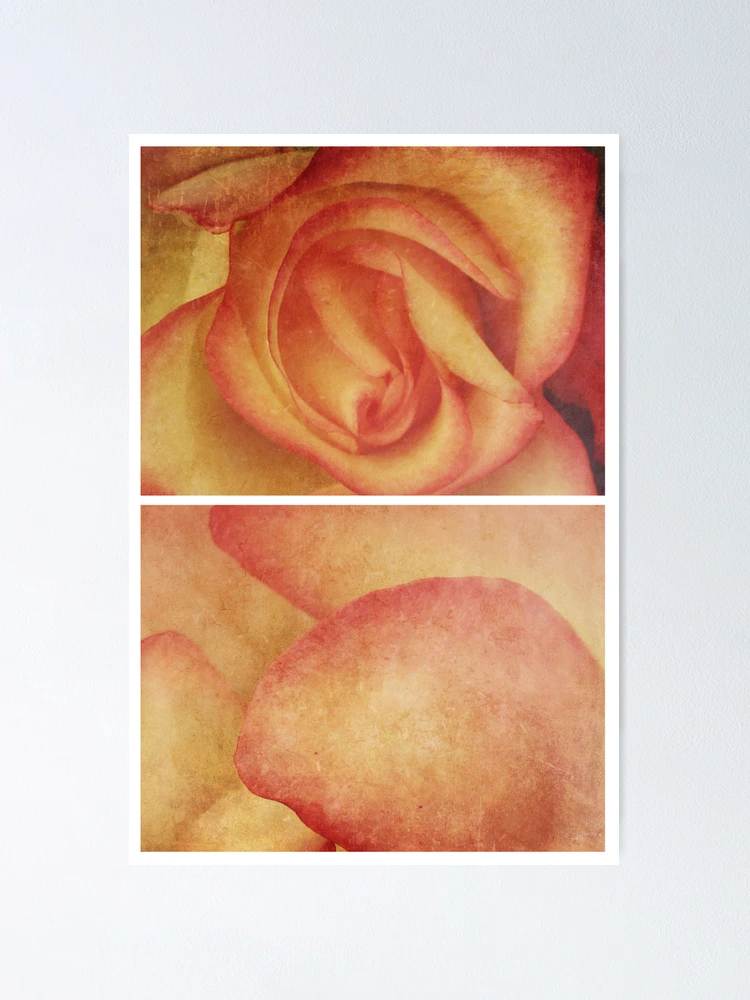 Imagen 1 de 3, Póster con la obra Spring - Roses - Happy Birthday I, diseñada y vendida por Sybille Sterk.