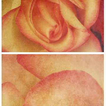 Imagen de la obra Spring - Roses - Happy Birthday I de Sybille Sterk