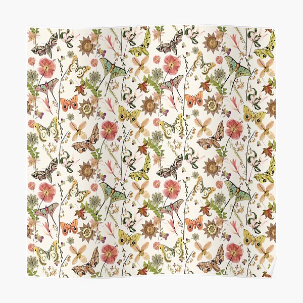 Moths and Wild Flowers Poster