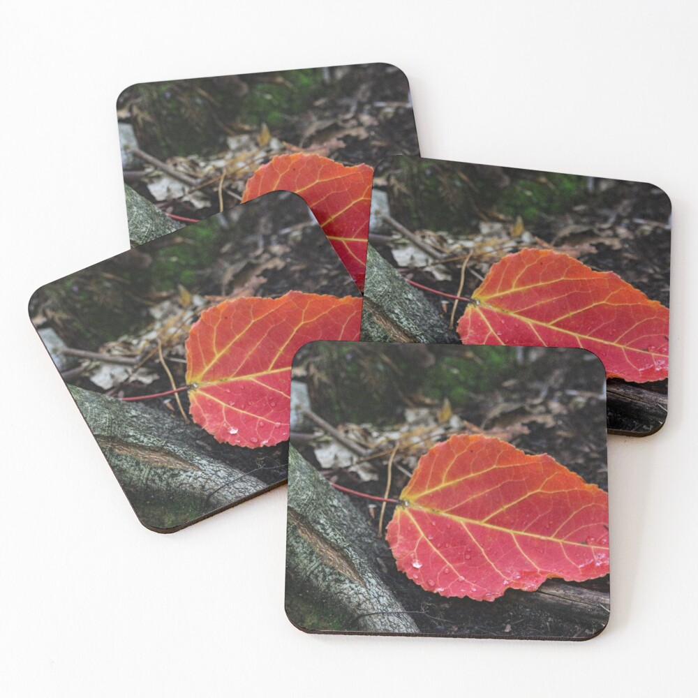 Item preview, Coasters (Set of 4) designed and sold by debfaraday.