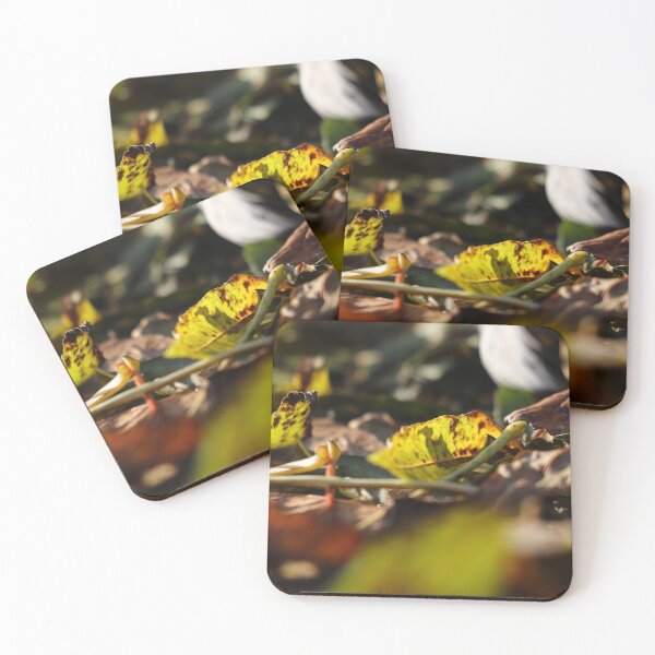 Item preview, Capturing the light designed and sold by GreyFeatherPhot.