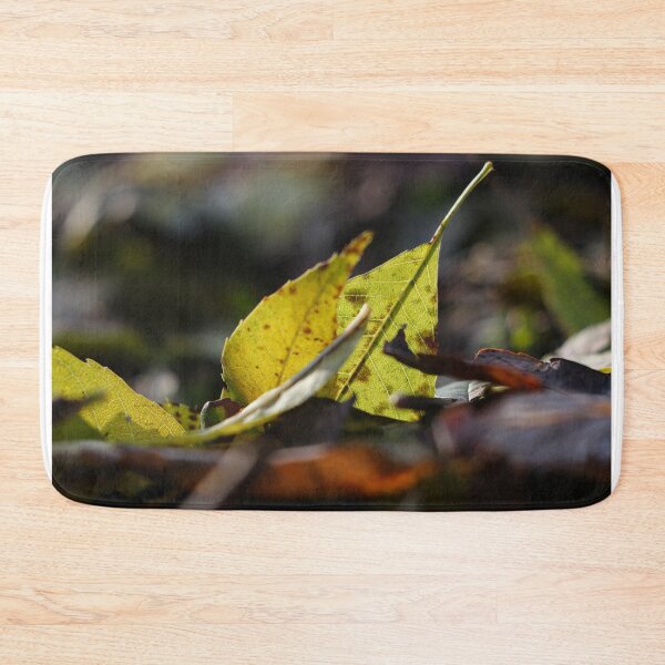 Item preview, Backlit fallen leaves designed and sold by GreyFeatherPhot.
