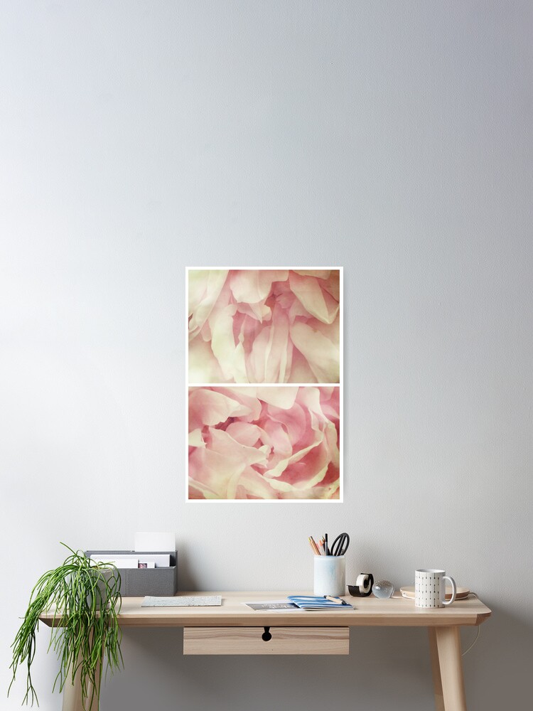 Imagen 2 de 3, Póster con la obra Spring - Roses - Palest of Pinks, diseñada y vendida por MagpieMagic.