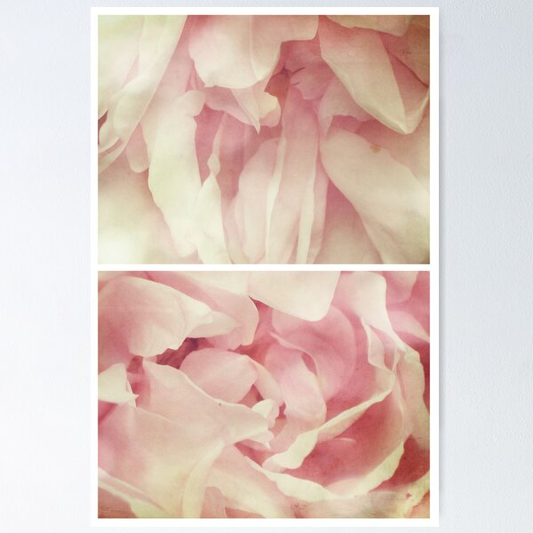Artikelvorschau, Spring - Roses - Palest of Pinks entworfen und verkauft von Sybille Sterk.