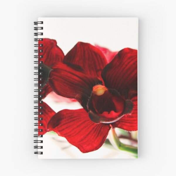 Item preview, Flowers at the DMA, Red designed and sold by ADWarrick.
