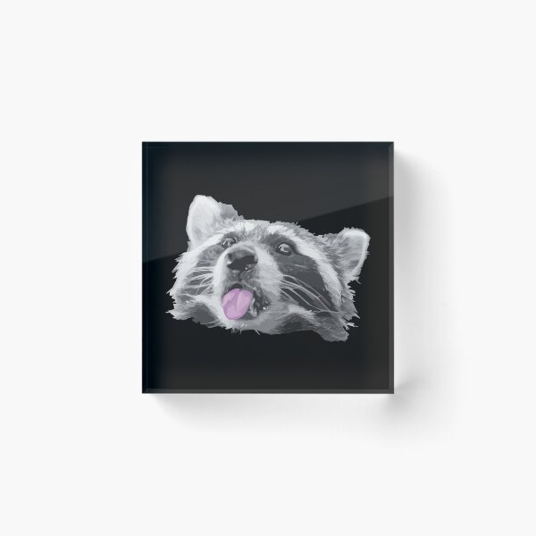 Item preview, Two meme raccoon designed and sold by TheSimpleMan.