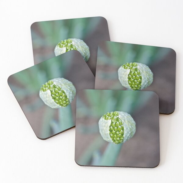Item preview, Winter Onion designed and sold by Linda Bianic.