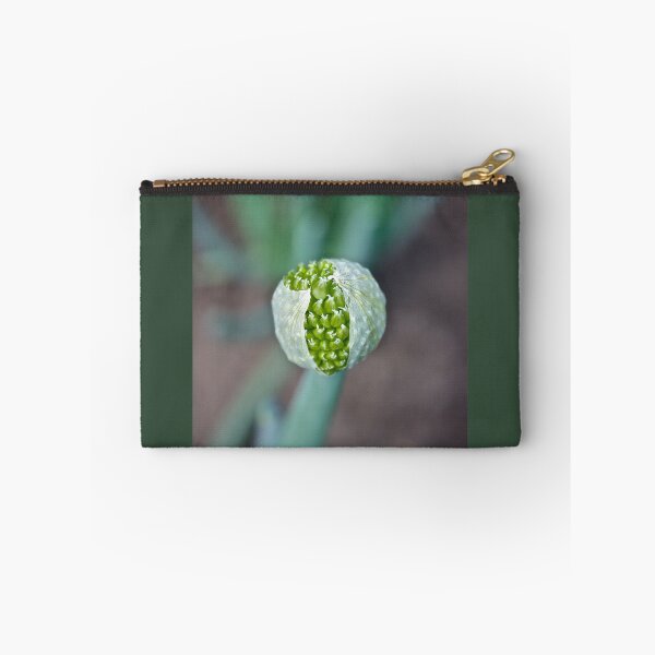 Item preview, Winter Onion designed and sold by Linda Bianic.