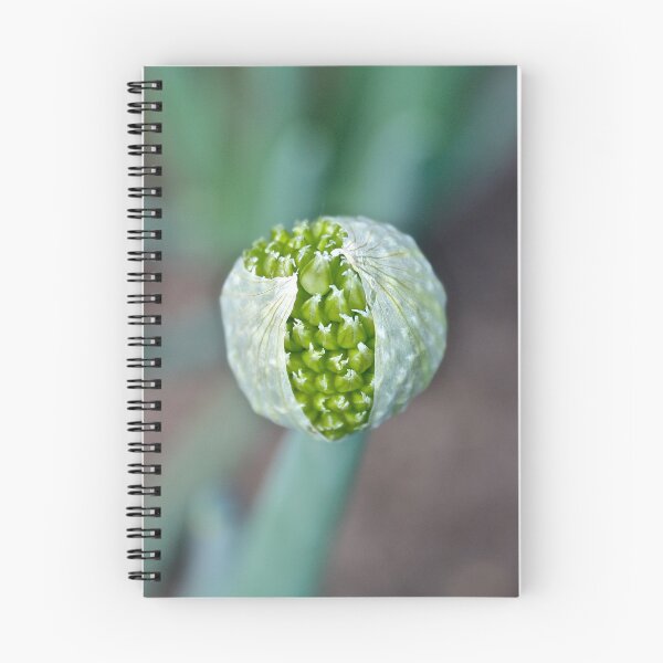 Item preview, Winter Onion designed and sold by Linda Bianic.