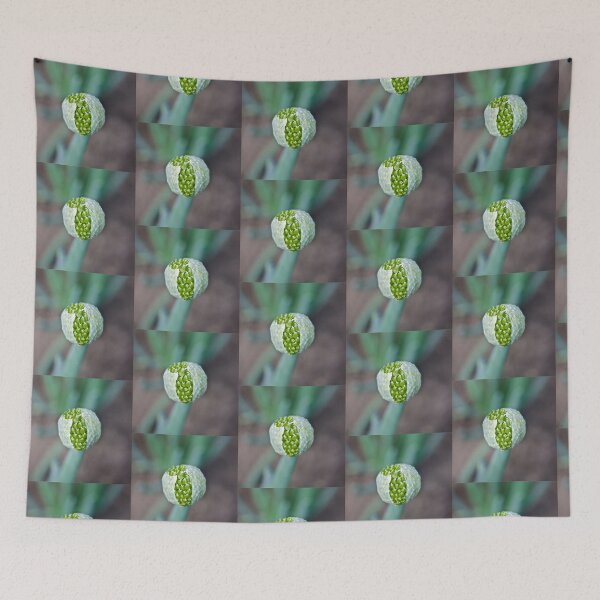 Item preview, Winter Onion designed and sold by Linda Bianic.