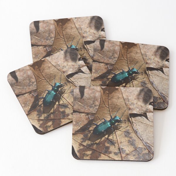 Item preview, Tiger Beetle designed and sold by Pauline Catling.