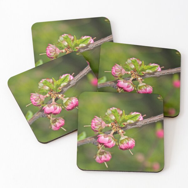 Item preview, Pink Spring Buds designed and sold by Linda Bianic.
