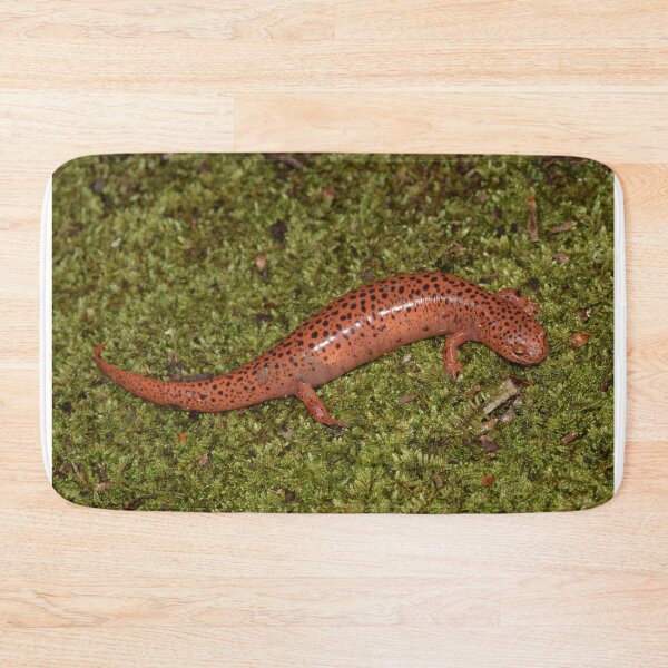 Item preview, Red Salamander (Pseudotriton ruber) designed and sold by Pauline Catling.