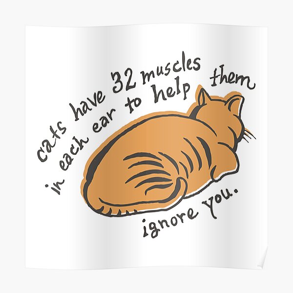 32 Muscles To Ignore You Poster