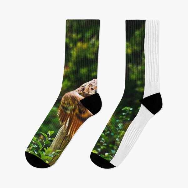 Item preview, Owl in flight designed and sold by jonfun1.