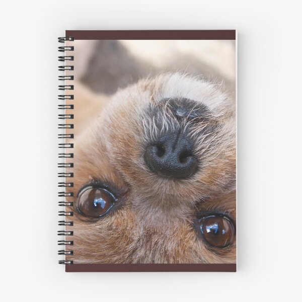 Item preview, Peekin' designed and sold by Linda Bianic.