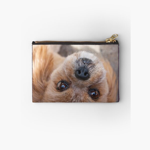 Item preview, Peekin' designed and sold by Linda Bianic.