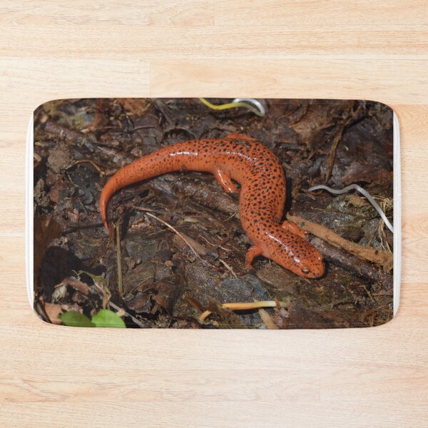 Item preview, Red Salamander (Pseudotriton ruber) designed and sold by Pauline Catling.