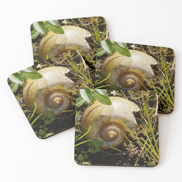 Item preview, Snail Spiral designed and sold by Scott Dovey.